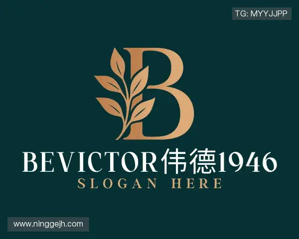 了解bevictor伟德1946